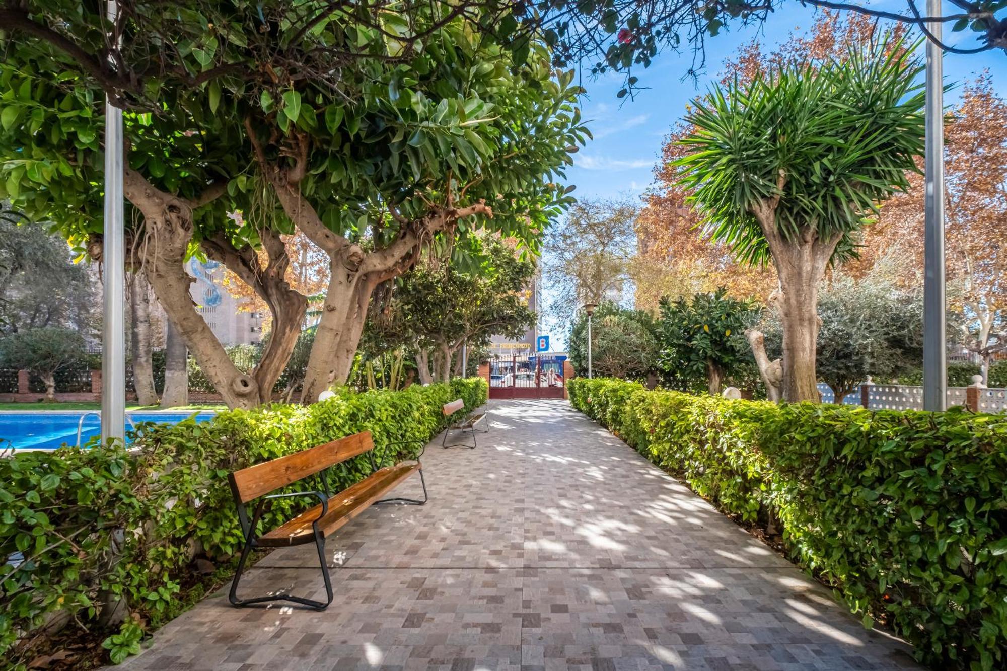 Edimar 2-3 Apartment Levante Beach Бенидорм Екстериор снимка